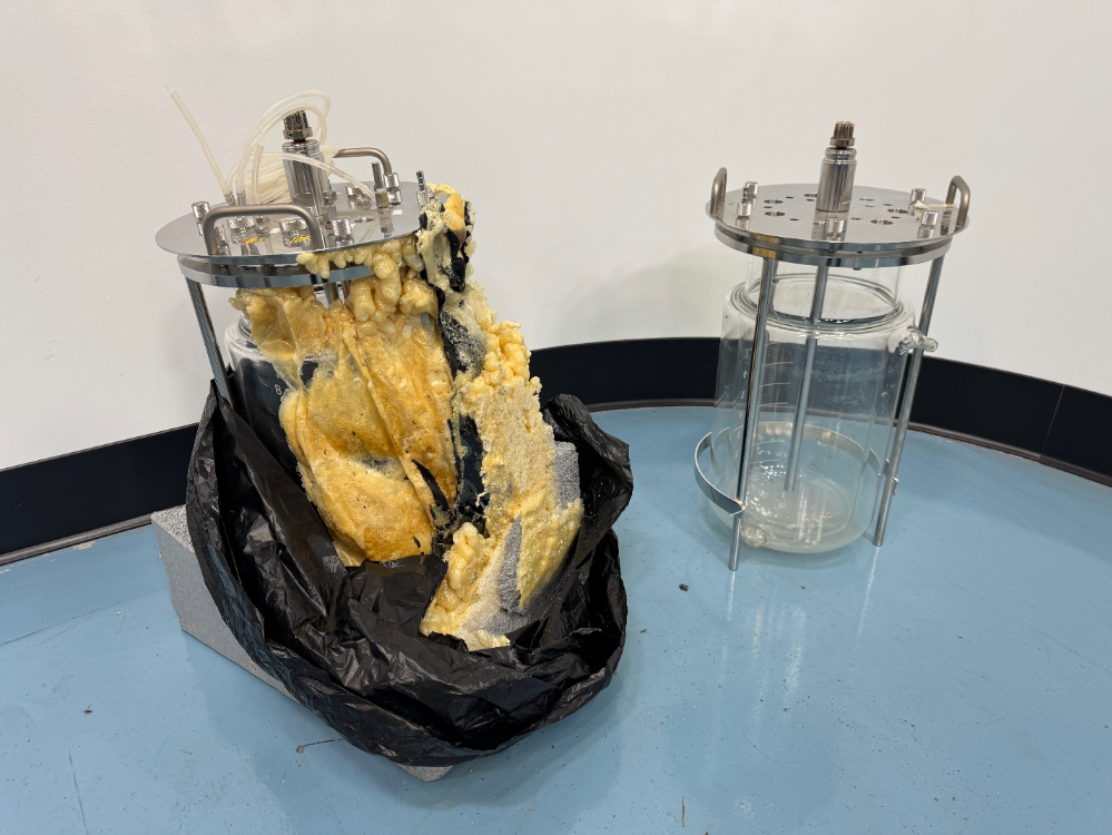 Image of Glass Bioreactor Vessel
